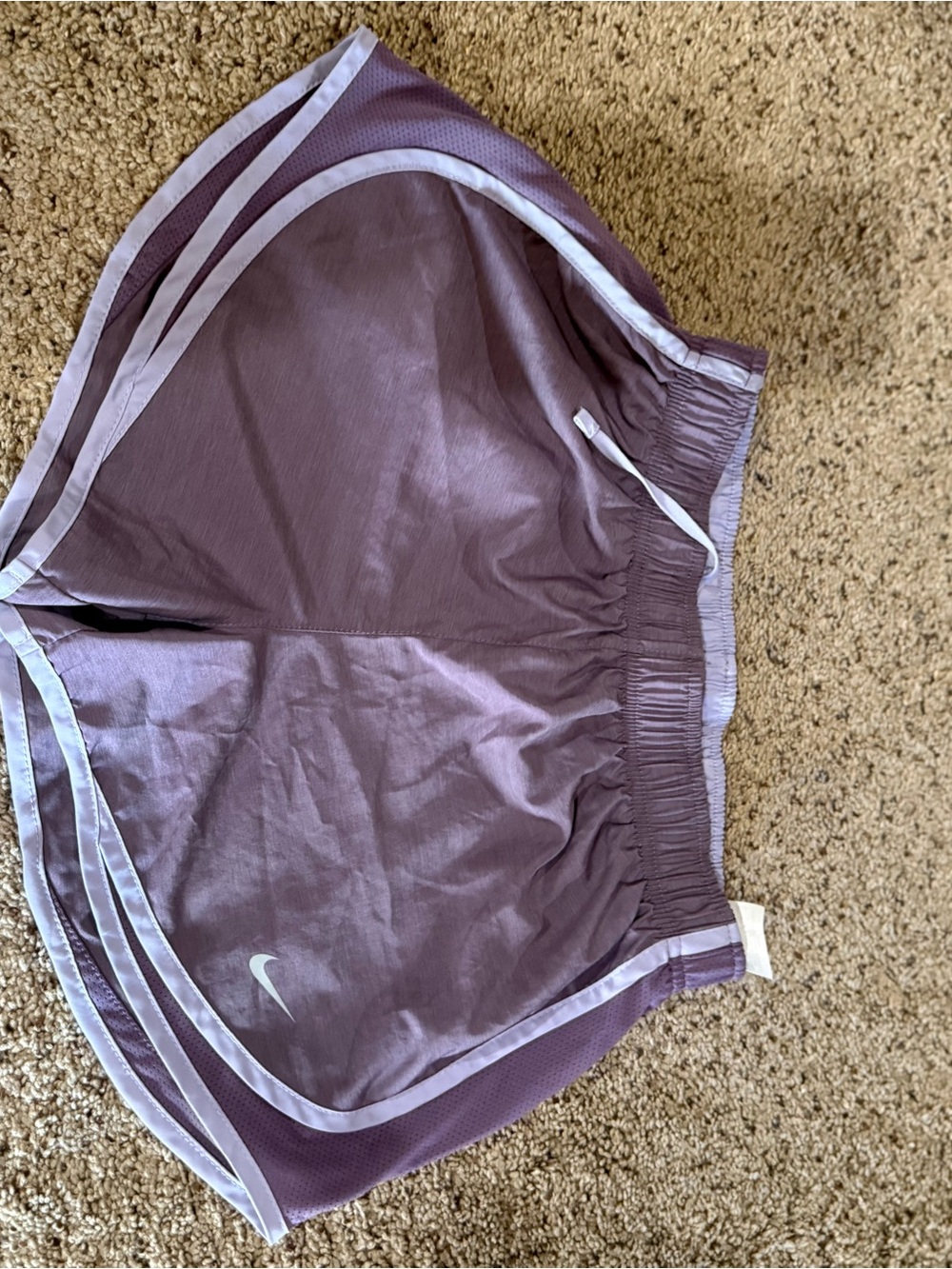 Nike Purple Athletic Shorts with White Trim